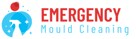 Emergency Cleaning Logo